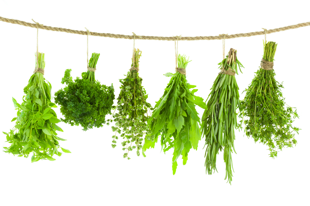 Fresh oregano, basil and fenugreek leaves hanging from string